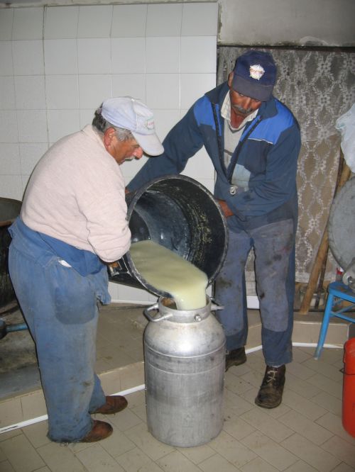 scuola di formaggio-47.JPG